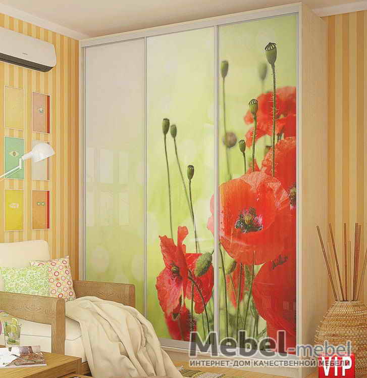 ШКАФ-КУПЕ 1800Х600